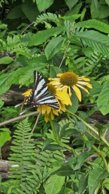 Lake Cumberland RV park