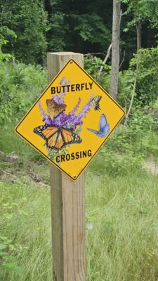 Lake Cumberland RV park