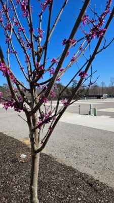 Lake Cumberland RV park