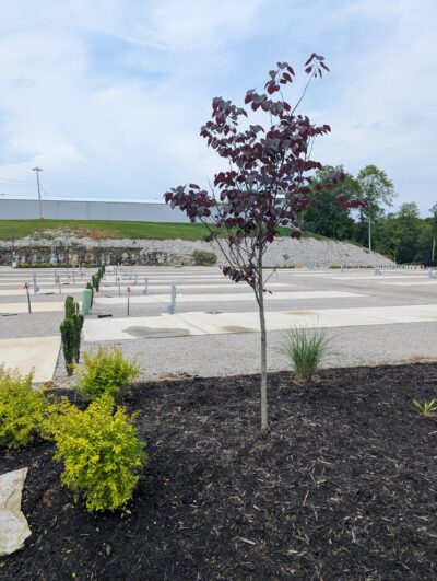 RV Park Lake Cumberland