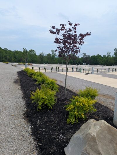 RV Park Lake Cumberland